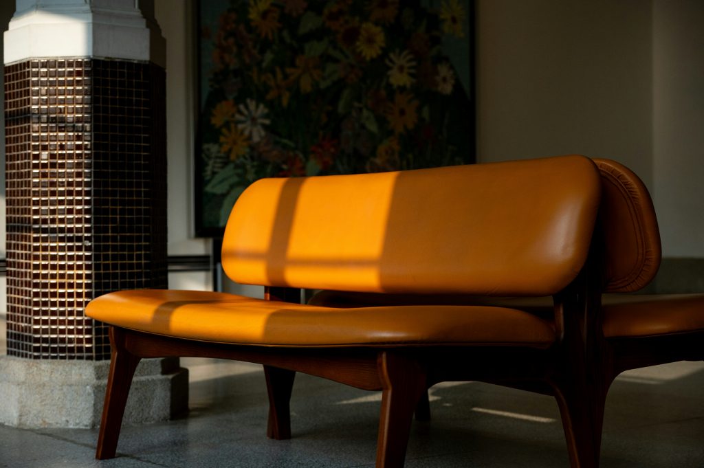 turquo cabbit ozrhgqzui4 unsplash